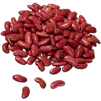 Kidney beans