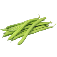 Lima beans