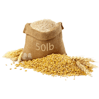 Soybean meal