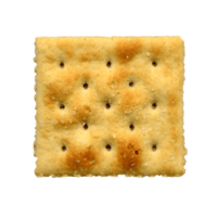 Saltine cracker