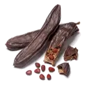 Carob