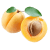 Apricot