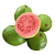 Guava