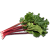 Garden rhubarb