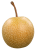 Asian pear