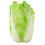 Chinese cabbage