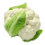 Cauliflower