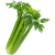 Celery