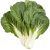 Marrow-stem Kale