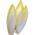 Endive