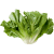 Escarole