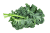 Kale raw