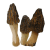 True morels