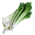 Leek