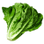 Lettuce, cos or romaine, raw