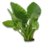 Taro leaves