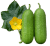 Wax gourd