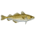 Cod