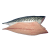 Atlantic Mackerel