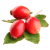 Rose hip