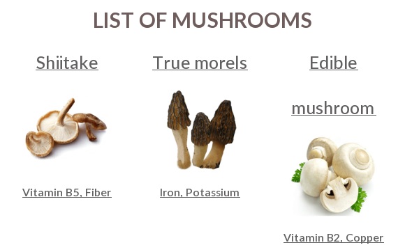 Mushrooms full list with names, images and nutrition info