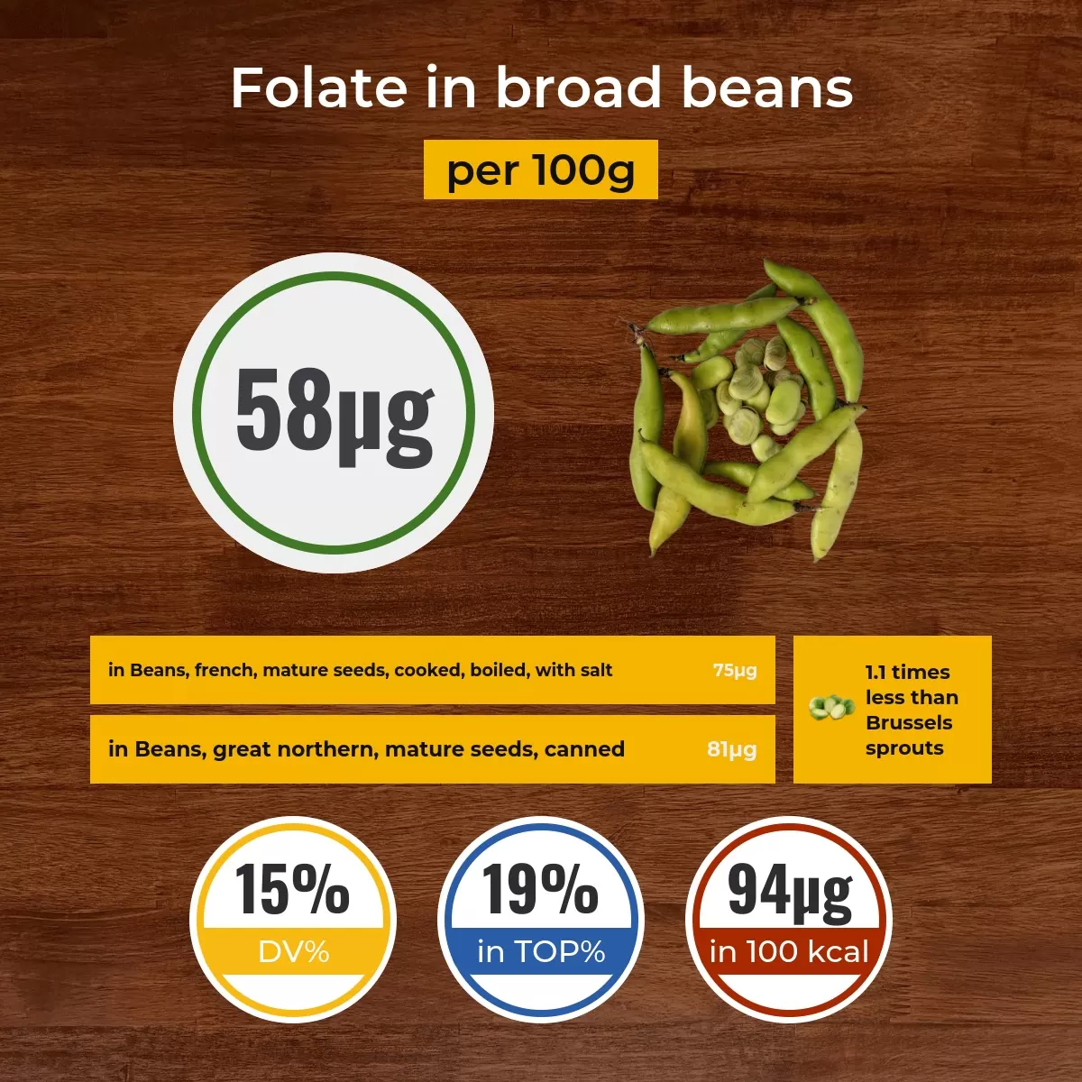 Broad beans folate content